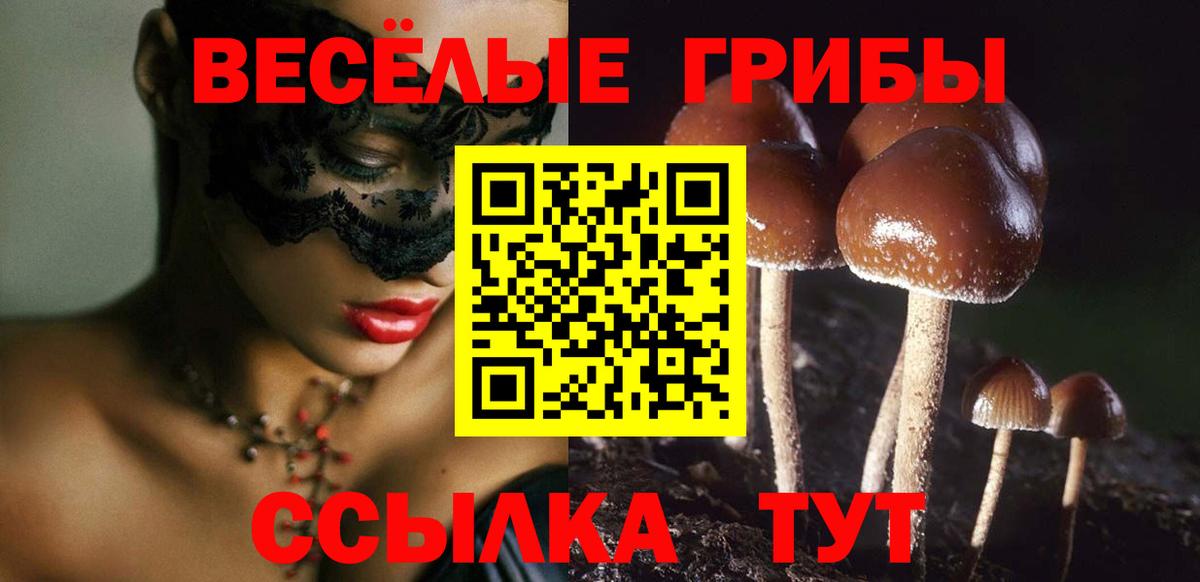Псилоцибиновые грибы MAGIC MUSHROOMS Курчалой